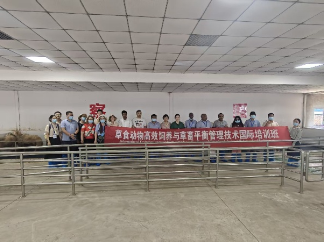 20250731175392602596609986.png 图片2.png