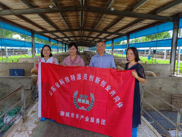 20250822175585594303108265.png 图片1(1).png