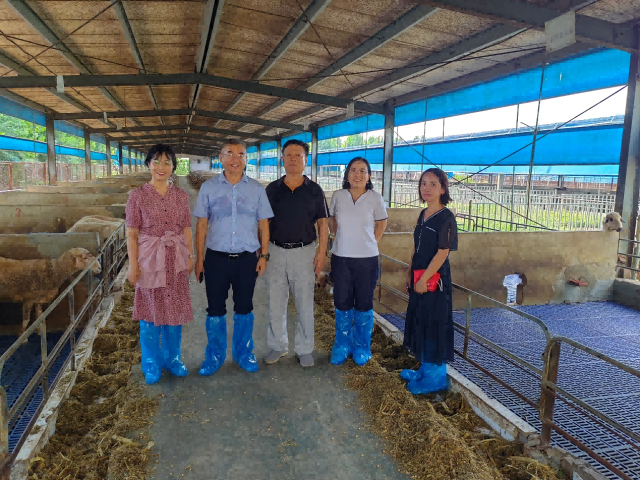 20250822175585595574903910.png 图片2(1).png